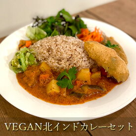 【ふるさと納税】【冷凍】VEGAN北インドカレーセット　【 カレー 本格的 インド 総菜 レトルト 冷凍 ヴィーガン ベジタリアン 植物性素材だけ インドカレー 辛味は控え目 】