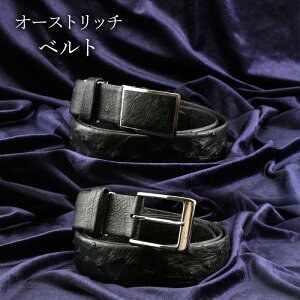 yӂ邳Ɣ[ŁzI[Xgb` xg N 35mm Y