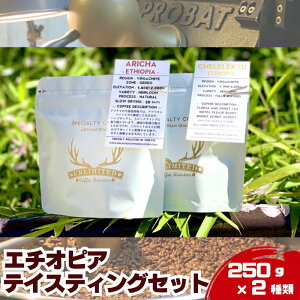 yӂ邳Ɣ[ŁzG`IsA eCXeBOZbg 250g × 2 hN R[q[ XyVeBR[q[