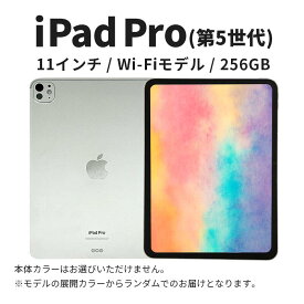 【ふるさと納税】ipad 【数量限定】Apple iPad Pro 11インチ 256GB Wi-Fiモデル 第5世代 シルバー Aランク　(9) タブレット タブレット端末 家電 中古 リユース 限定 限定品 アップル pro 5世代 Wi-Fi wifi 11　お届け：ご入金確認後、通常60日前後でお届け