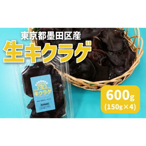 yӂ邳Ɣ[ŁzsncY@LNQ600gi150g×4pbNj@Hi  ̂ LmR 炰 LNQ ؎ Y VN vv  T_ a uߕ @͂F2025N5