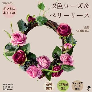 yӂ邳Ɣ[Łz2F[Yx[[X [X Ǐ  CeA Y  CeA  rO v[g 蕨 nc s