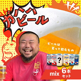 【ふるさと納税】ガハハビールmix6本セット（ダンチエール、マーシーIPA、シャルウィートダンス、ガハハのポーター、空旅IPA、季節の一本） クラフトビール 地ビール 飲み比べ セット お試し ギフト 贈答用 プレゼント 父の日 お中元 お歳暮