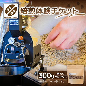 yӂ邳Ɣ[Łz ̌`Pbg{300gv[g s ]  ̌ R[q[   `Pbg @ R[q[ A 