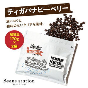 yӂ邳Ɣ[ŁzTigapanah Peaberry@eBKois?x[ 蓤 170g × 2 Zbg / ݕ R[q[ JtF  s i