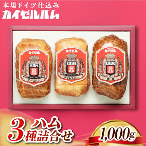 yӂ邳Ɣ[ŁzyJC[nz3 n l / ؓ ① H Lv o[xL[  H T_  ٓ O {Xn [Xn ē `[V[ tNV