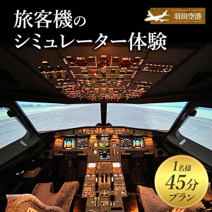 yӂ邳Ɣ[ŁzHc`@LUXURY FLIGHT@q@̃V~[^[̌45v(1l) ̌ `Pbg s@ q@ c pCbg V~[^[ ` Hc c