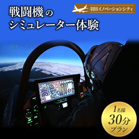 【ふるさと納税】羽田イノベーションシティ　LUXURY FLIGHT　戦闘機のシミュレーター体験30分プラン(1名様) 体験 チケット 飛行機 戦闘機 操縦 パイロット コックピット シミュレーター 羽田 大田区