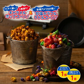 【ふるさと納税】【2個セット】とにかく濃い！二度漬け！キャラメルポップコーン！×1＆甘塩カラフルケトルコーン！×1 ポップコーン カラフル キャラメル スイーツ かわいい プレゼント 大田区 東京都