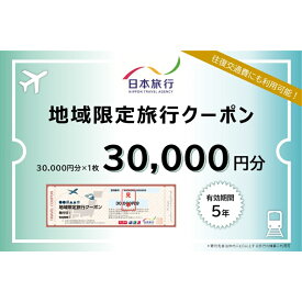 【ふるさと納税】東京都大田区　 日本旅行　地域限定旅行クーポン30,000円分 宿泊・体験