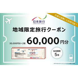 【ふるさと納税】東京都大田区　 日本旅行　地域限定旅行クーポン60,000円分 宿泊・体験