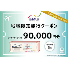 【ふるさと納税】東京都大田区 　日本旅行　地域限定旅行クーポン90,000円分 宿泊・体験