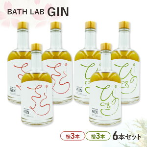 yӂ邳Ɣ[ŁzBATH LAB GIN 6{Zbgi3{Ew3{jW  IWi NtgW ݔ Hcu[ Mtg v[g c s