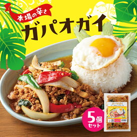 【ふるさと納税】タイ料理 ガパオガイ5個セット（本場の辛さ） 温めるだけ メインディッシュ 本場 大田区 東京都