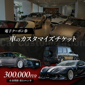 【ふるさと納税】【電子クーポン券】 車のカスタマイズチケット 300,000円分 有効期限:発行から1年以内 車 板金 整備 修理 カスタム コーティング 割引券 クーポン 利用券 電子クーポン 電子