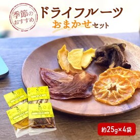 【ふるさと納税】季節のおすすめ ドライフルーツ お任せセット 約25g×4袋 砂糖 保存料不使用 ドライ フルーツ 果物 おやつ スイーツ お菓子 東京都 大田区