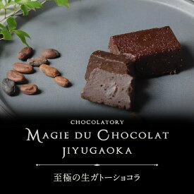 【ふるさと納税】チョコレート専門店「MAGIE DU CHOCOLAT」至極の生ガトーショコラ スイーツ チョコレート チョコレート菓子 焼き菓子 ガトーショコラ 生ガトーショコラ 濃厚 とろける 人気 おすすめ ギフト プレゼント 贈り物 ご褒美 贅沢