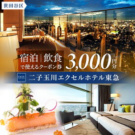 【ふるさと納税】二子玉川エクセルホテル東急限定 3,000円 宿泊クーポン券（ふるさとチケット） 東京都世田谷区 宿泊 ホテル 旅行 観光 ビジネス 出張 カップル 家族旅行 都内 東急ホテルズ アクセス便利 ショッピング グルメ 宿泊券 チケット