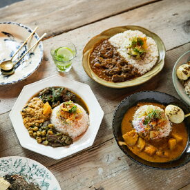 【ふるさと納税】【and CURRY】カレー詰め合わせ5種セット カレー レトルト 冷凍 スパイス スパイスカレー 小分け おすすめ 無農薬 ギフト 贈り物