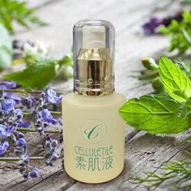 【ふるさと納税】セルティユ素肌液 60mL×1本 [オリジナル成分マロンエキス配合] 化粧品 美容液 スキンケア コスメ ギフト プレゼント ご褒美 贈り物
