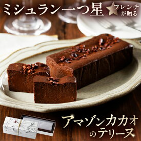 【ふるさと納税】 ミシュラン一ツ星フレンチ【Sincere】アマゾンカカオのテリーヌ