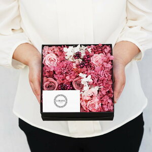 yӂ邳Ɣ[ŁzvU[uht[ BOX isNj