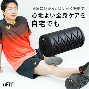 yӂ邳Ɣ[ŁzuFit Vibrating Roller saJ dtH[[[ SgPA ZtPA ptU Vv݌v 