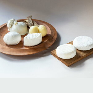yӂ邳Ɣ[ŁzCHEESE STAND 7Zbg