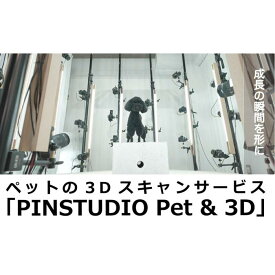 【ふるさと納税】ペットの3Dスキャンと3Dフルカラープリントによる造形（フィギュア）長辺5cm