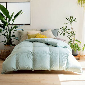 yӂ邳Ɣ[ŁzVOO⃊TCNHъ|zcqreumorM[^Cvy2FiThO[/A[Xx[WjI\z_1143210631 |  TCNHѕzc 