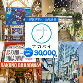 【ふるさと納税】ナカペイふるさと納税ポイント 30,000円分