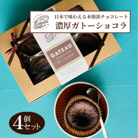 【ふるさと納税】日本で味わえる本格派　濃厚ガトーショコラ4個入り　【菓子/ケーキ・ガトーショコラ】
