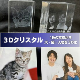 【ふるさと納税】置物 1枚写真で3Dクリスタル 犬・猫・人物の正面写真 3Dクリスタル クリスタル インテリア ペット グッズ 猫 犬 家族 子供 名入れ おしゃれ 猫グッズ 犬グッズ ギフト プレゼント 贈答 贈答品 記念品 お祝い 変わり種 雑貨 東京 東京都 豊島区