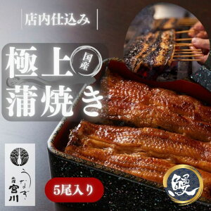 yӂ邳Ɣ[Łz Ȃ{@YȂĂ(^pbN) 5@V Ȃ EiM  Ă Y VN t ^ ȒP  L 