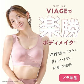 【ふるさと納税】【単品】VIAGEビューティアップナイトブラ　ブラジャー ブラ ナイトブラ 夜用 バストケア 補正下着 背肉 脇肉 補正 育乳 ヴィアージュ