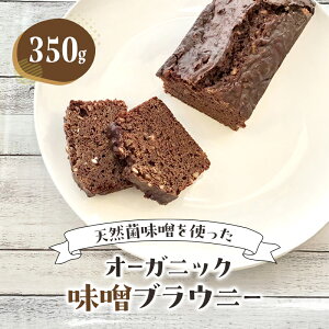 yӂ邳Ɣ[ŁzuEj[ I[KjbNXuEj[ َq mَq Ăَq XC[c VR X ibc `R[guEj[ L s