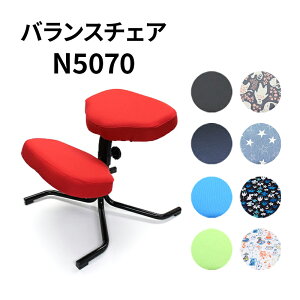 yӂ邳Ɣ[ŁzoX`FA N5070 ֎q  CX wK֎q fXN[N [~ ɗ\h pۂĂ OZ[ s L