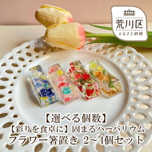 yӂ邳Ɣ[ŁzyIׂzyʂHɁzł܂n[oE t[u 2`4Zbg