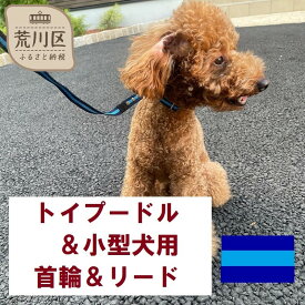 【ふるさと納税】トイプードル及び小型犬用カラー（首輪）＆リード(カラー：紺・水色・紺)【001-006】