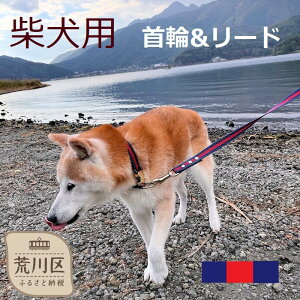 yӂ邳Ɣ[ŁzČpJ[iցj[h(J[FEԁE)y001-007z