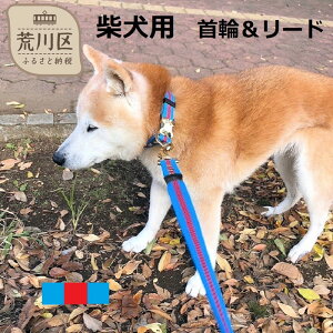 yӂ邳Ɣ[ŁzČpJ[iցj[h(J[FFEԁEF)y001-008z