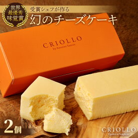 【ふるさと納税】幻のチーズケーキ×2個セット【配送不可地域：離島】【1546347】