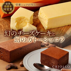 【ふるさと納税】幻のチーズケーキ×2個と幻のガトーショコラ×1個のセット【配送不可地域：離島】【1546381】