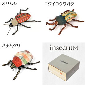 【ふるさと納税】昆虫オブジェ insectum (インセクタム) [0240]