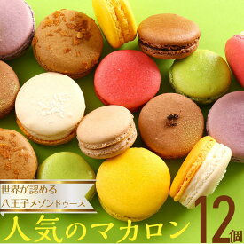 【ふるさと納税】世界が認める東京・八王子メゾンドゥース　フルーツの甘酸っぱさが広がる人気のマカロン12個入り | お菓子 マカロン フルーツ スイーツ 洋菓子 贈答用 送料無料 東京 八王子