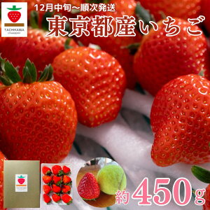 yӂ邳Ɣ[ŁzI   삢 Y 450g 嗱