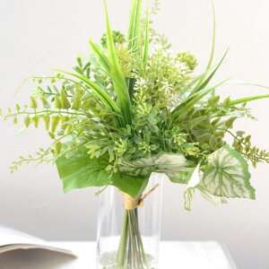 yӂ邳Ɣ[ŁzsvE܂Ŗ{̐u}WJEH[^[AWEtbVO[u[Pv 1 KX A[eBtBVt[ VR CeAt[ 