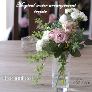 yӂ邳Ɣ[ŁzIׂJ[svE܂Ŗ{̐u}WJEH[^[AWE[Yv 1 KX A[eBtBVt[ o KN [Y}[   C