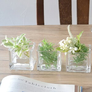 �y�ӂ邳�Ɣ[�Łz�}�W�J���E�H�[�^�[�A���W�����g �O���[���X�N�G�A �v3�� �^�C�j�[�t�����[�����[�Y�}���[×1�E���[�Y�}���[×1�E�`�F���[���[�t×1�� �A�[�e�B�t�B�V�����t�����[ ��