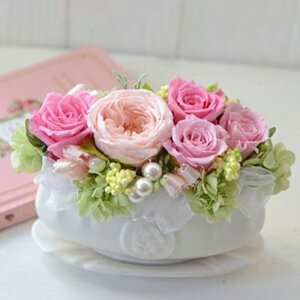 yӂ邳Ɣ[ŁzyizvU[uht[AWueB[Jbv\[T[v 250gid500gj AWg  CeA Ƌ G ͂Ȃ NAP[Xt Mtg 